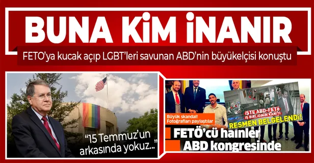 FETÖ'cüleri koruyup LGBT'leri savunan ABD'nin Büyükelçisi David Satterfield'den '15 Temmuz' açıklaması