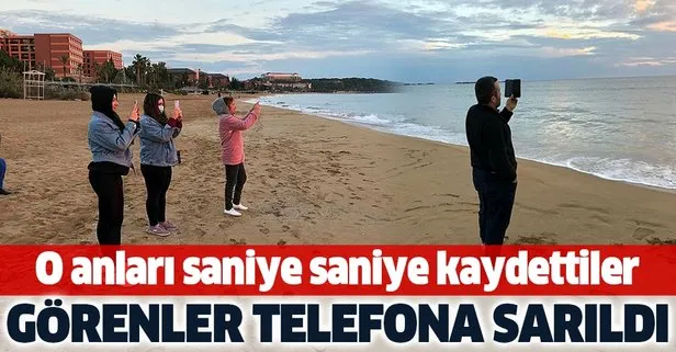 Antalya’da müthiş manzara! Görenler telefona sarıldı saniye saniye kaydetti