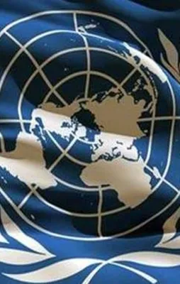 BM'den Arap ülkelerine çağrı