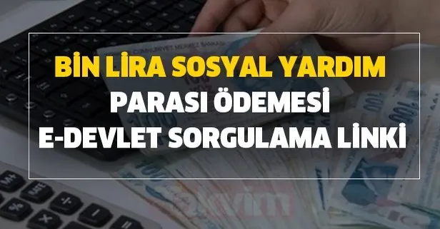 Bin lira sosyal yardım parası ödemesi e-devlet sorgulama linki