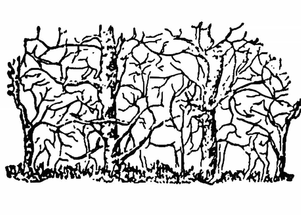 puzzledaki-zurafayi-sadece-yuksek-iqsu-olanlar-6-saniyede-buluyor-1697527677195.jpg Ağaç dallarıyla gizlenmiş zürafayı 6 saniye içinde bulabilecek misiniz?-2