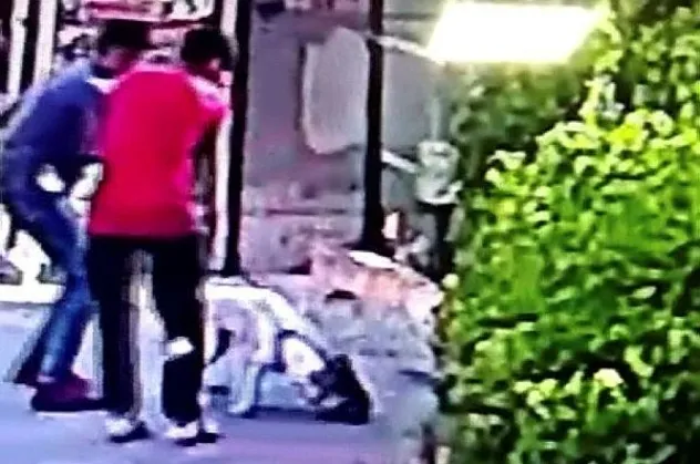 Son dakika: Küçükçekmece'de pitbull dehşeti! Saniyeler içinde parçaladı