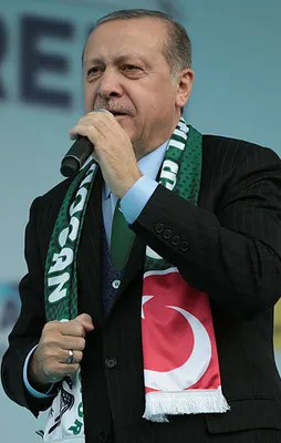 Erdoğan: Böyle ana mı olur?