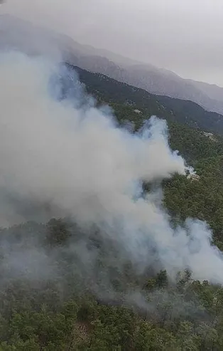 SON DAKİKA: Manavgat'ta orman yangını