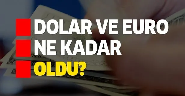 Bugün dolar ve euro ne kadar oldu?