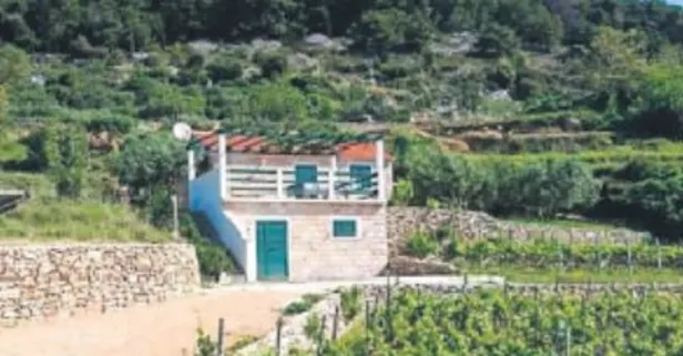 Cinayet 'bağ'çesi: Gelecek Parti İstanbul İl Başkan Yardımcısını sevgilisi bağ evinde katletti!