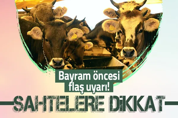 Kurban Bayramı öncesi flaş açıklama! TESK uyardı: Sahtelere dikkat!-1