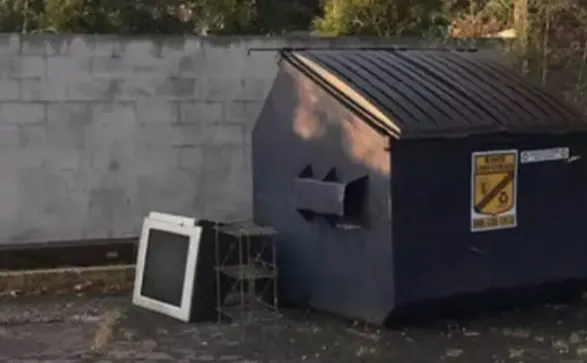 Zeka testi: 10 saniyede arka bahçede gizlenmiş geyiği bulabilir misin? 580 kişi denedi, 15'i başarılı oldu - 3