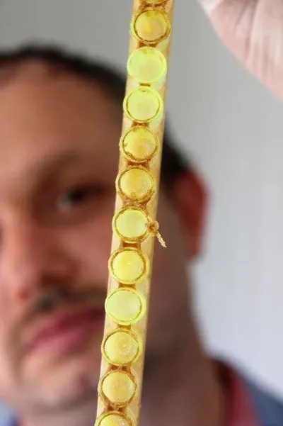 Kilogramı 4 bin TL'den satılıyor-4