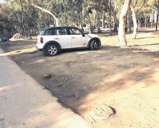 CHPli Muhittin Böcekten ağaç katliamı