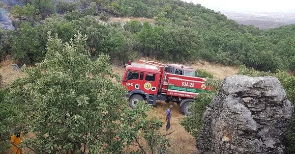 Son Dakika Diyarbakir Lice Deki Ortu Yangini Sonduruldu Takvim