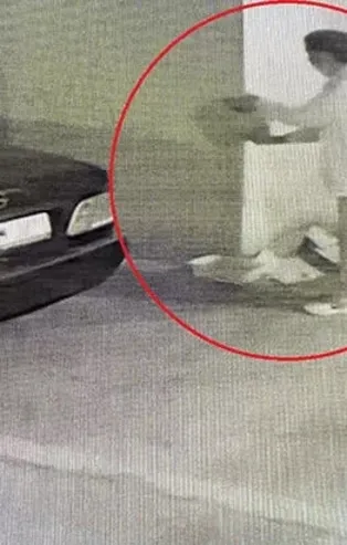 Köpekleri ıslatıp kovalayan öğretim görevlisine dava! 'O hayvanları görünce benim midem bulanıyor'