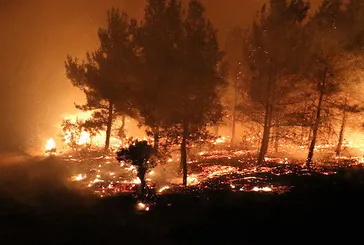 Çanakkale'de orman yangını! Havadan ve karadan canhıraş müdahale sürüyor