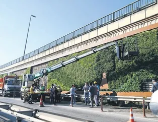 Yaşayan duvarlar reklam panosu oldu!