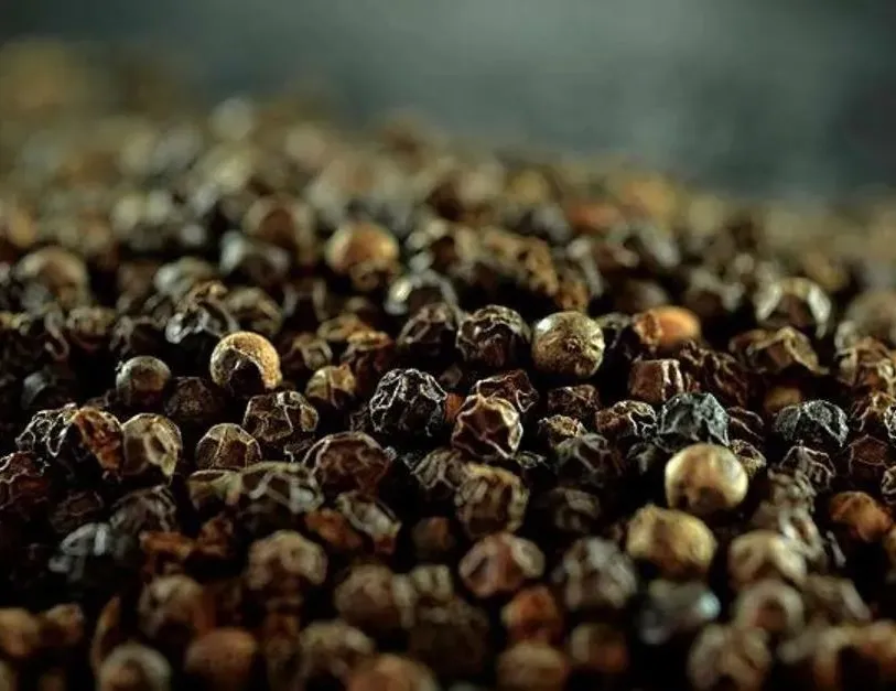 Enfeksiyona karabiber