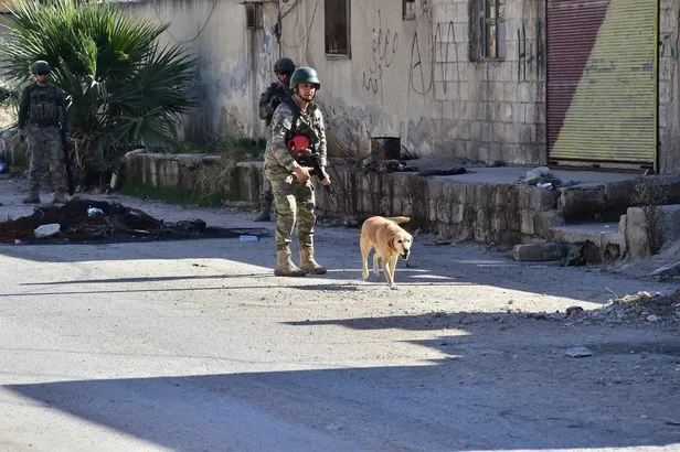 MSB'den Barış Pınarı Harekatı açıklaması: 923 EYP ile 337 mayın etkisiz hale getirildi-3