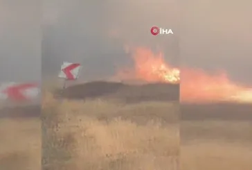 Gaziantep Nizip'te orman yangın!