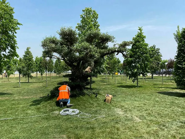 istanbulun-fethinin-coskusu-ataturk-havalimani-millet-bahcesinde-baskan-erdogan-ilk-fidanlari-toprakla-bulustu-1653820761975.jpg İstanbul'un Fethi'nin coşkusu Atatürk Havalimanı Millet Bahçesi'nde! Başkan Erdoğan'dan tarihi mesajlar: Son nefesimize kadar buradayız-15