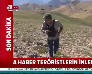 Terör örgütü PKKya Kıran darbesi! İnlerine girildi