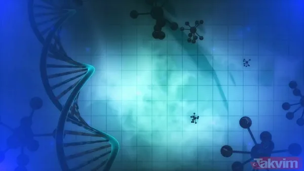 “Ferahlamak için kullanıyordu”… O ürünün kanserle bağlantısı ortaya çıktı! - 2