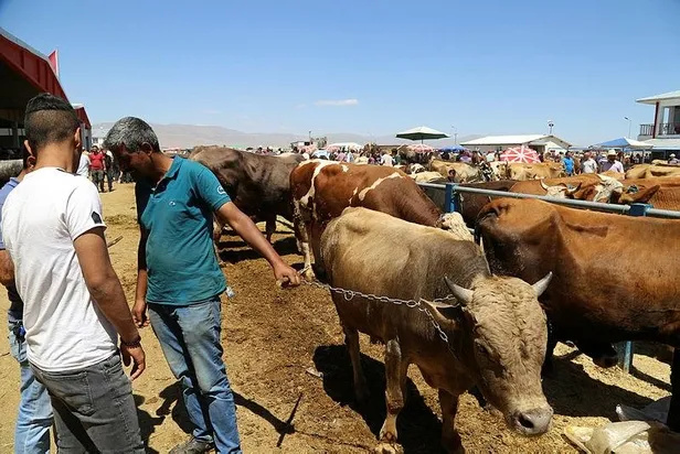 Kurban Bayramı mutluluktur! Kurban keserken nelere dikkat edilmelidir? Kurban eti nasıl saklanmalıdır?-2