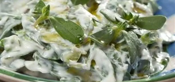 Yoğurtlu Semizotu Salatası