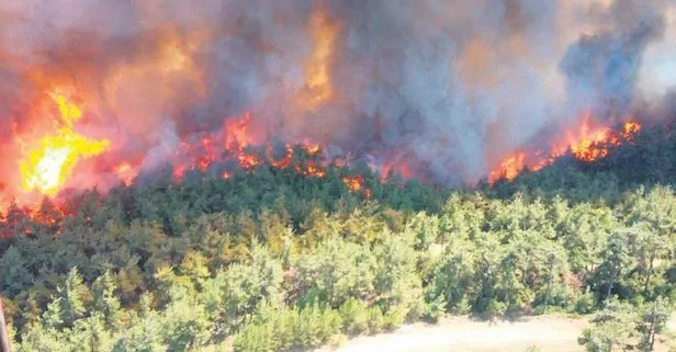 Tarihi Gelibolu Yarımadası’ndaki ormanlık bölgede yangın: 300 hektarlık alan yandı, 3 köy boşaltıldı