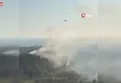 Antalya Manavgat'ta orman yangını