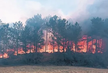 İki günde 150 yangın
