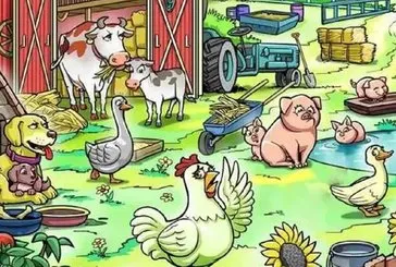 Çiftlikte gizlenmiş civcivi bulabilir misin?