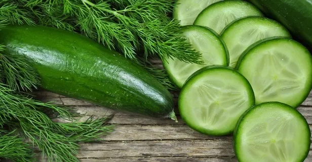 Zam şampiyonu salatalık