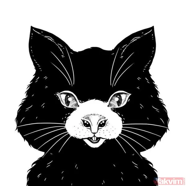 Bunu görüyorsanız çok zekisiniz! Bilim adamları açıkladı! İşte kişiliğinizi ortaya koyan o görsel... - 26