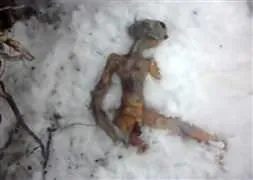 Dünyayı ayağa kaldıran görüntü!