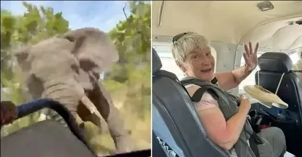 Safari macerası ölümle bitti! Av gezisine çıkan yaşlı kadının başına gelen filmleri aratmayacak türden