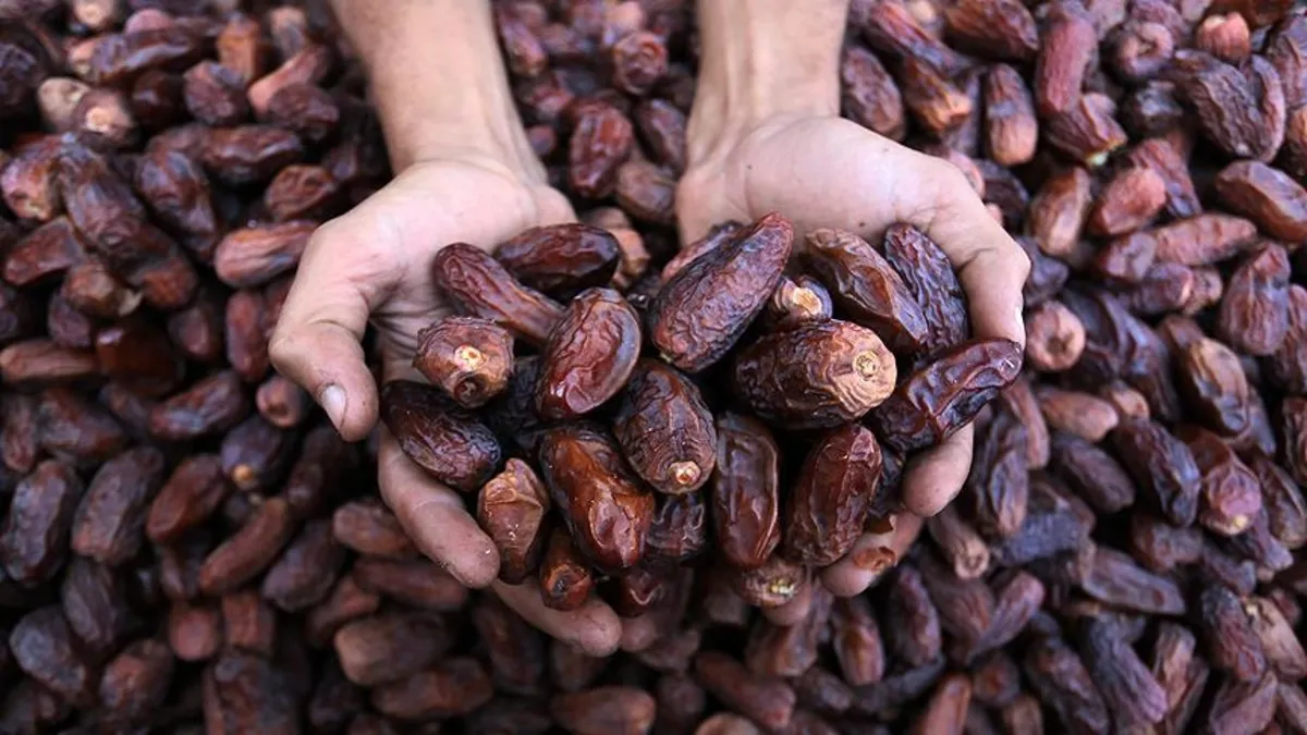 Alzheimer hastalığını önlemek için hurma tüketin! İşte faydaları...
