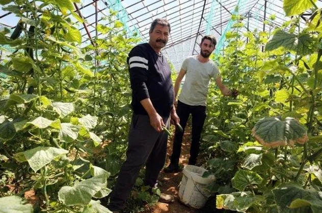 Çiftçi fahiş fiyatlara isyan etti: Yük bizde para aracıyla markette!