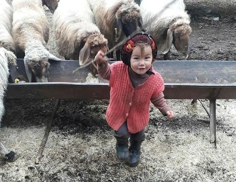 Türkiye’nin konuştuğu cinayette flaş iddia