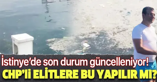 Ekrem İmamoğlu, İstinye sahilinde denize girmek ister mi?