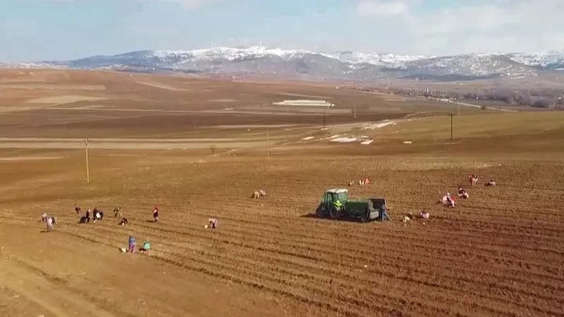 Milli Emlak'tan hodri meydan! Günlük 10 TL taksitle 48,44 m² arsa satılacak-2