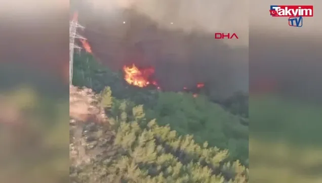 Aydın Söke'de orman yangını!