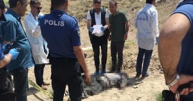 Boş arazide bu halde bulundu