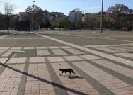 Sokağa çıkmak serbest mi? Sokağa çıkma yasağı başladı mı? Sokağa çıkma yasağı saat kaçta başlayacak?