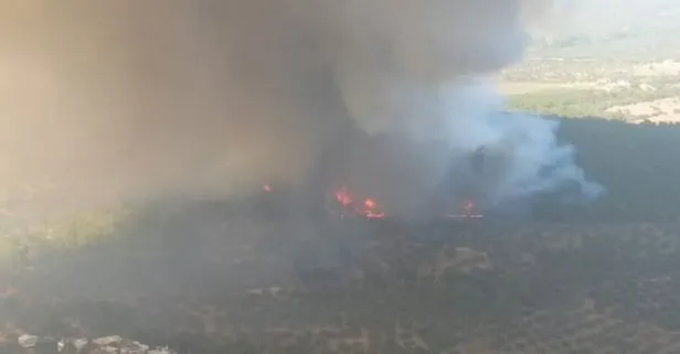 Son dakika: Çanakkale’de orman yangını