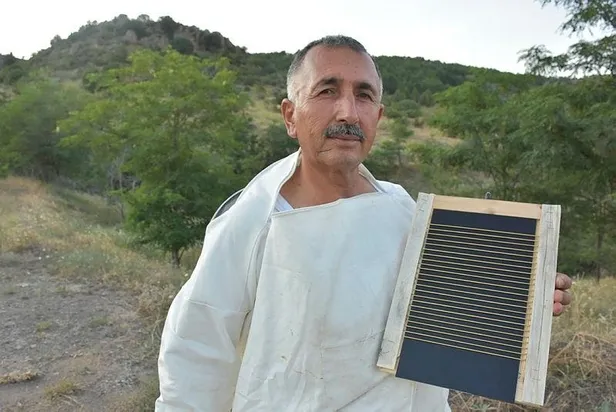 Arının balı da şifa, zehri de şifa: Kilosu 500 bin Türk Lirası!-4