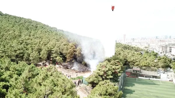 son-dakika-maltepe-basibuyukte-orman-yangini-1629713954604.jpg