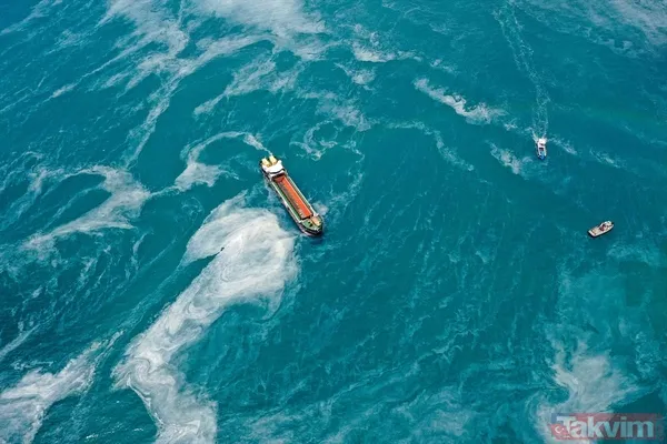 Caddebostan Sahili'nde müsilaj yoğunluğu arttı! Tabloya benzer görüntüler oluştu - 20