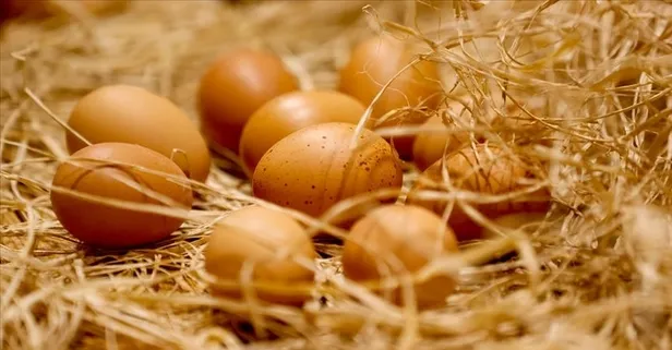 Bilim insanları araştırdı: Yumurta yemek ömrü uzatıyor!