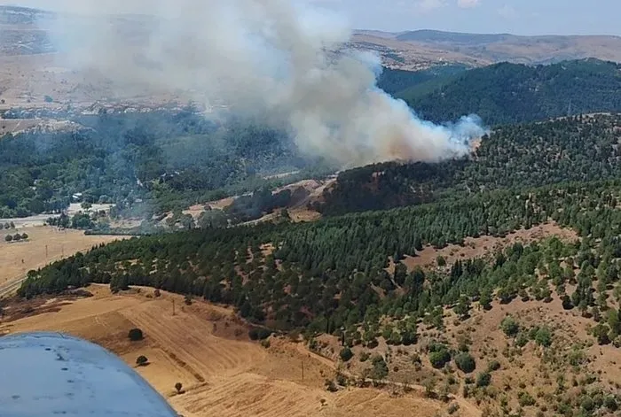 Balıkesir’de orman yangını
