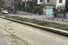 Eyüpsultan'da 5 ağaç kesildi! Vatandaşlardan İBB'ye tepki: Asırlık çınarlar tehlikede