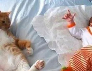 İnternet ortamında tık rekorları kıran fotoğraflar...